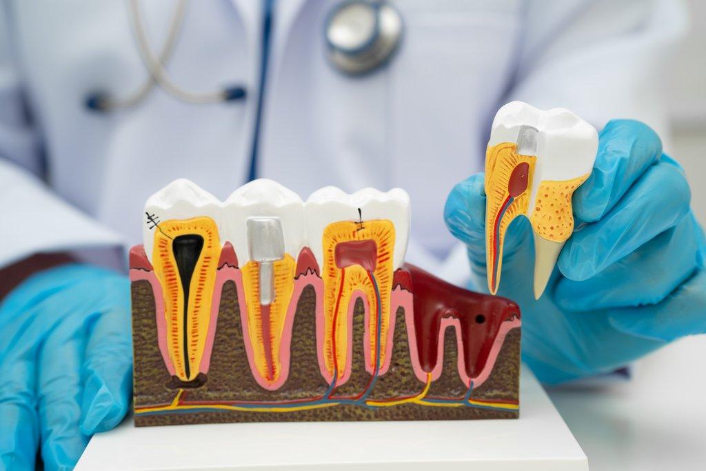 istockphoto-1252977776-1024x1024